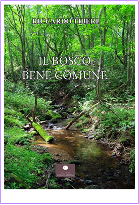 Il bosco bene comune